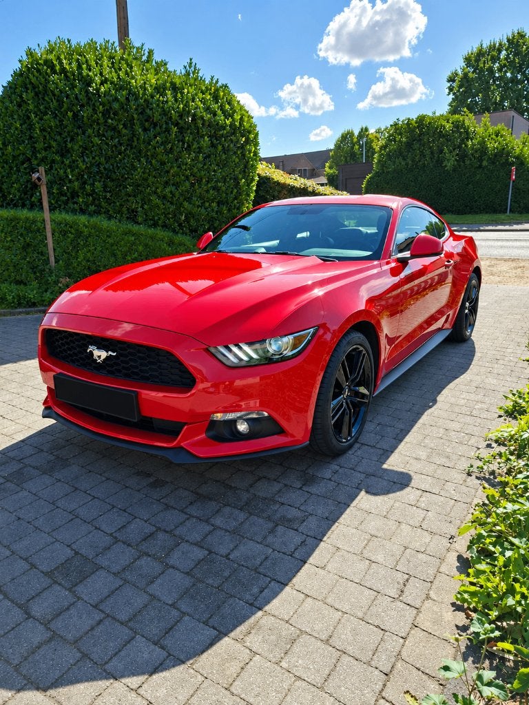 Ford Mustang 2.3 Ecoboost handgeschakeld , 1ste eigenaar, Autos, Achat, Euro 6, Boîte manuelle, Entretenue par le concessionnaire