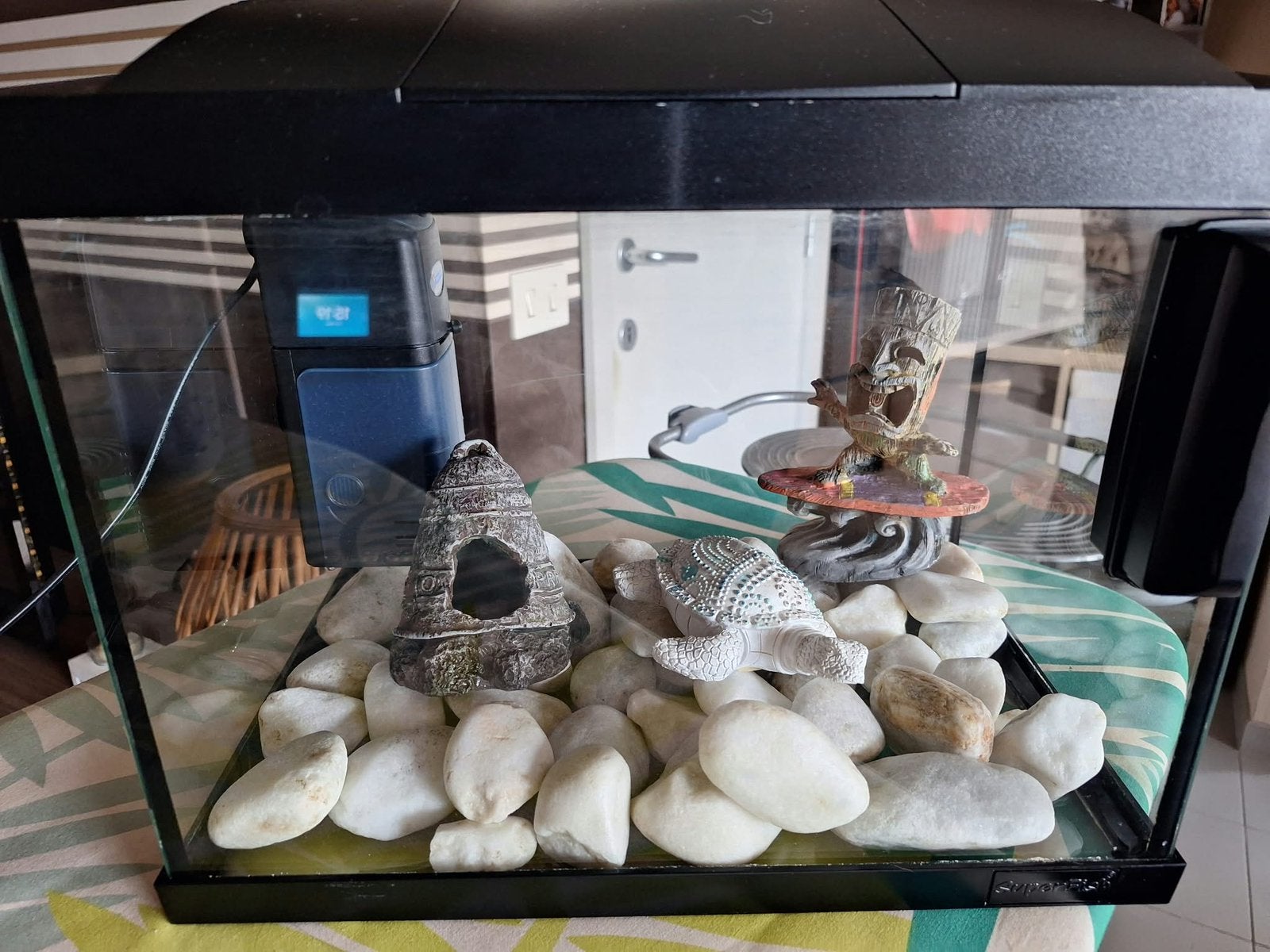 Aquarium, Ophalen, Inclusief toebehoren, Zo goed als nieuw, Leeg aquarium