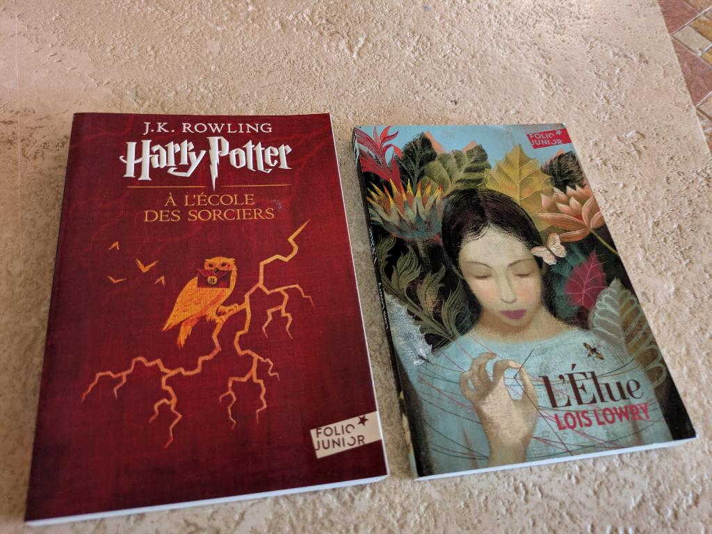 2 "Folio Junior" adolescents à partir de onze ans pour 1,5€., Livres, Fiction, Comme neuf, Divers auteurs, Envoi
