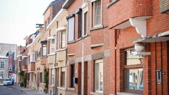 Wandelmaatje, Hobby en Vrije tijd, Overige Hobby en Vrije tijd, Ophalen