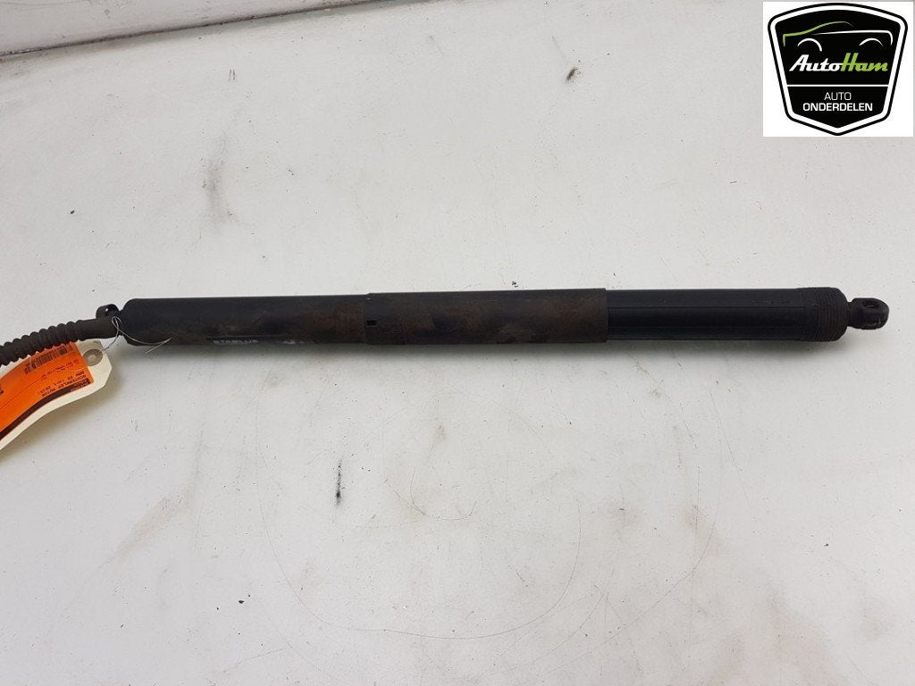 MOTEUR DE HAYON BMW X5 (F15) (|51247294469|7294469|), Utilisé, BMW, Haillon arrière