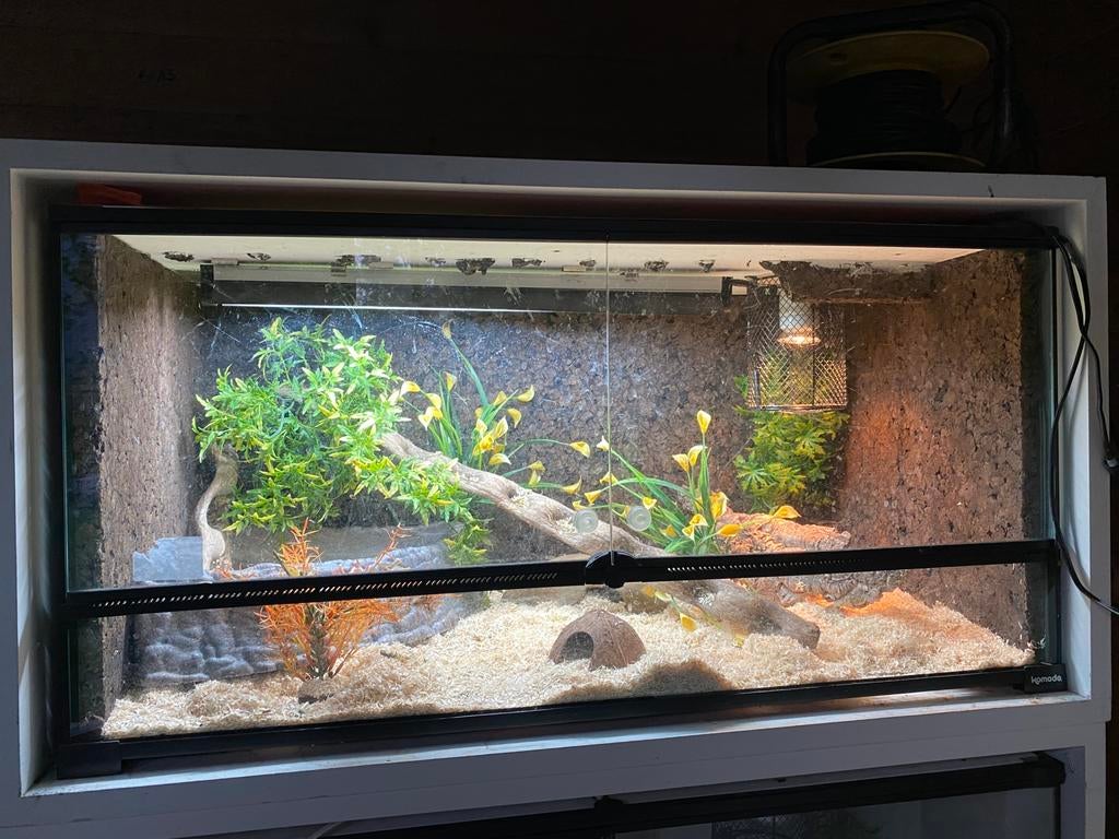 Komodo 90x45x45 volledig ingericht en toebehoren, Dieren en Toebehoren, Ophalen, Gebruikt, Terrarium of Paludarium