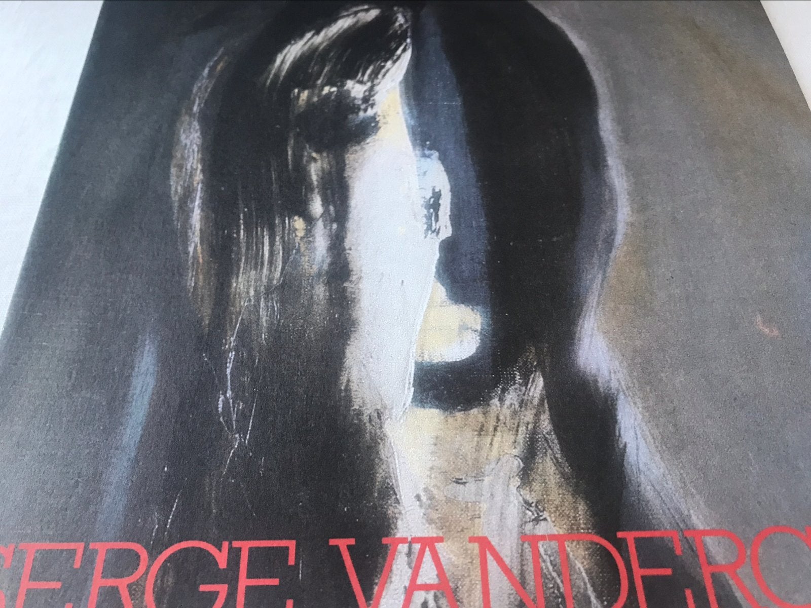 Serge Vandercam Peintures Dessins 90pag Cobra, Boeken, Ophalen of Verzenden, Zo goed als nieuw, Schilder- en Tekenkunst