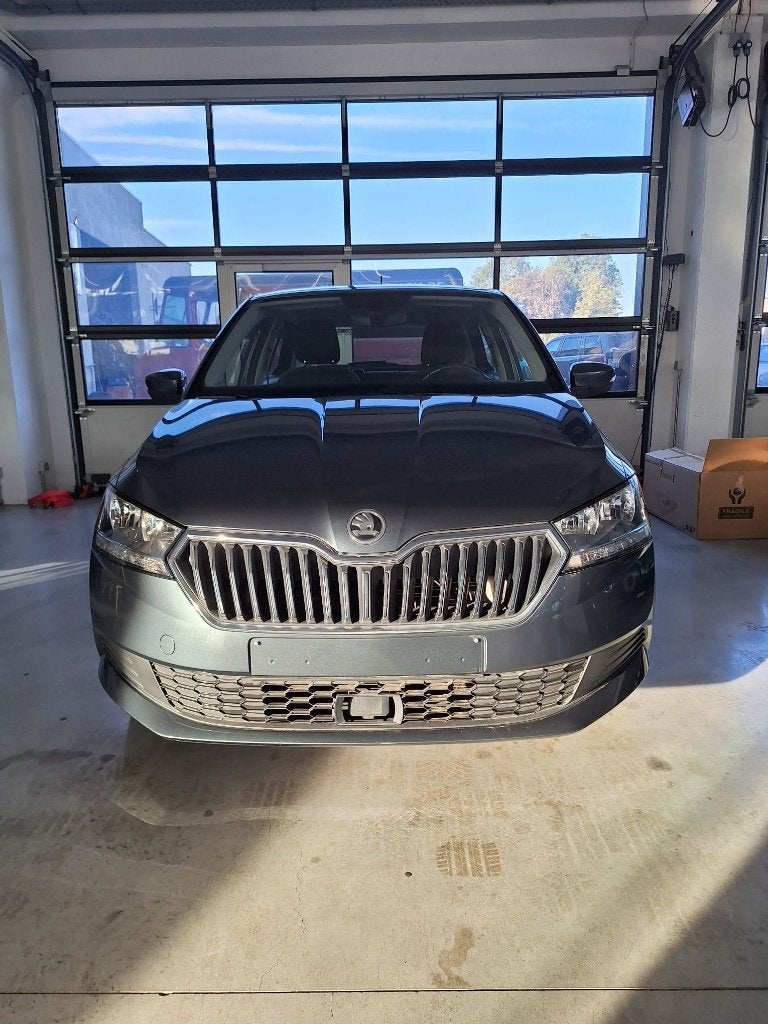 Skoda Fabia, Argent ou Gris, Achat, Euro 6, Entreprise