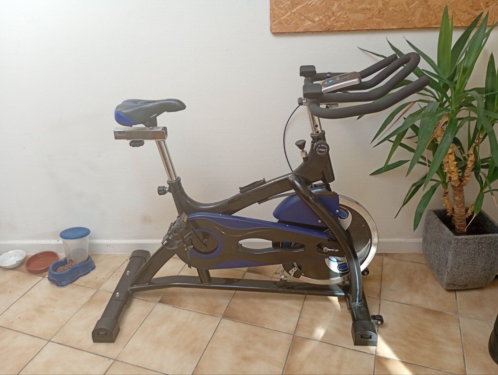 Vélo d'exercice, Jambes, Enlèvement, Utilisé, Vélo d'appartement