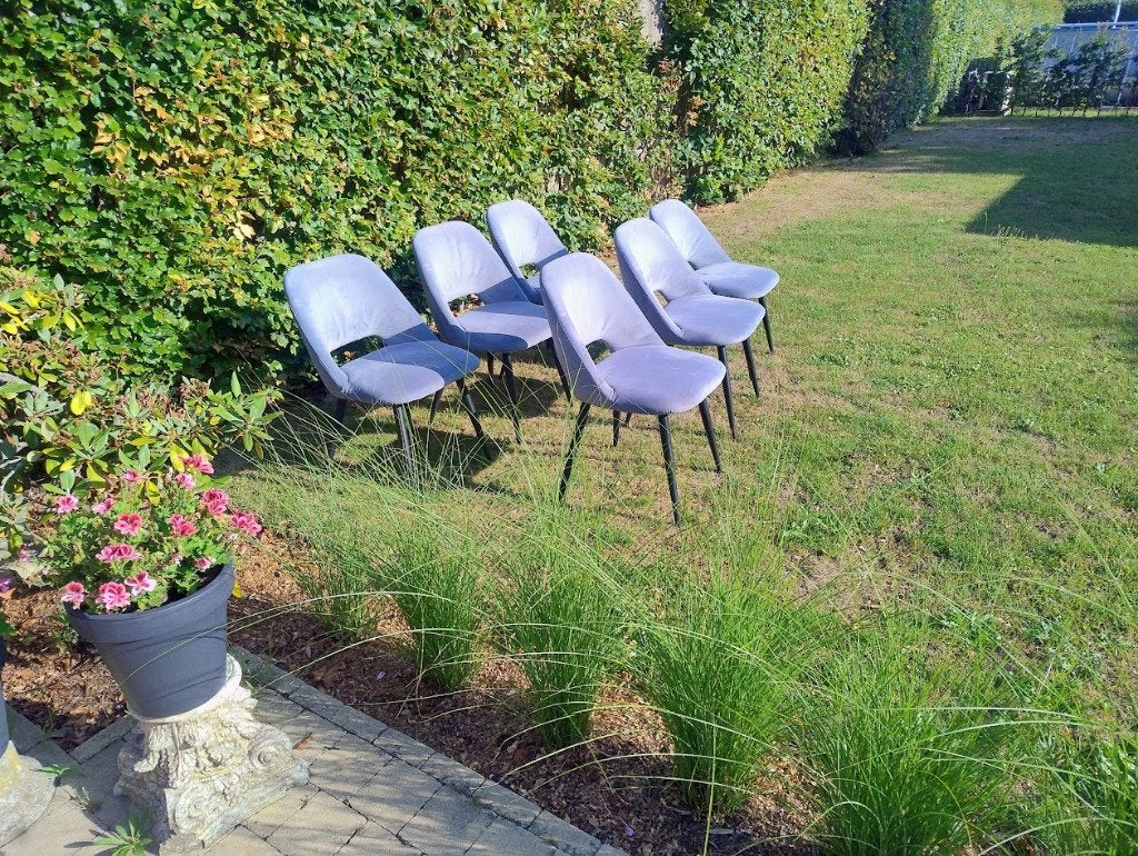 chaises de cuisine, Enlèvement, Tissus, Cinq, Six Chaises ou plus
