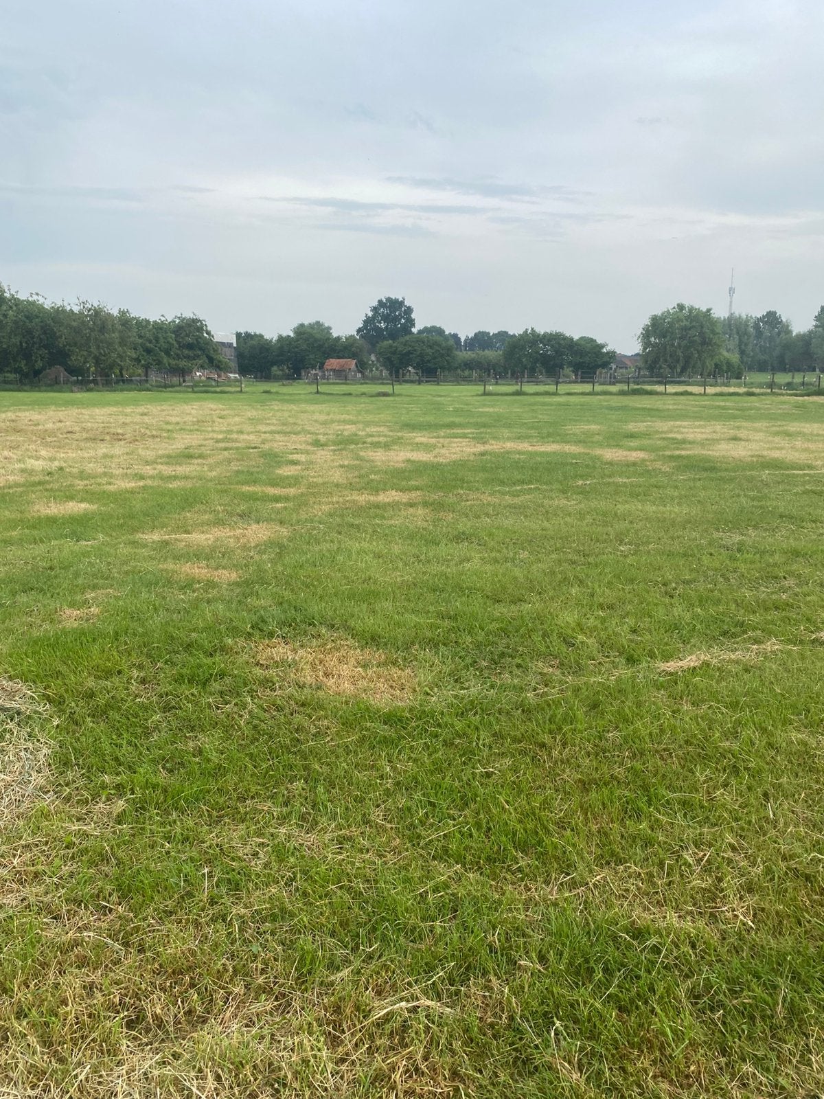 Weide te huur voor paarden, Mise à l'étable