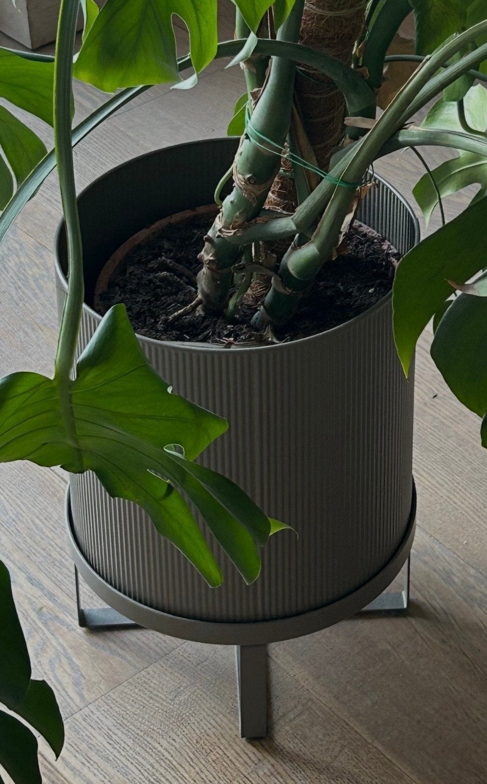 “Bau pot” plant pot by Ferm Living, Ophalen