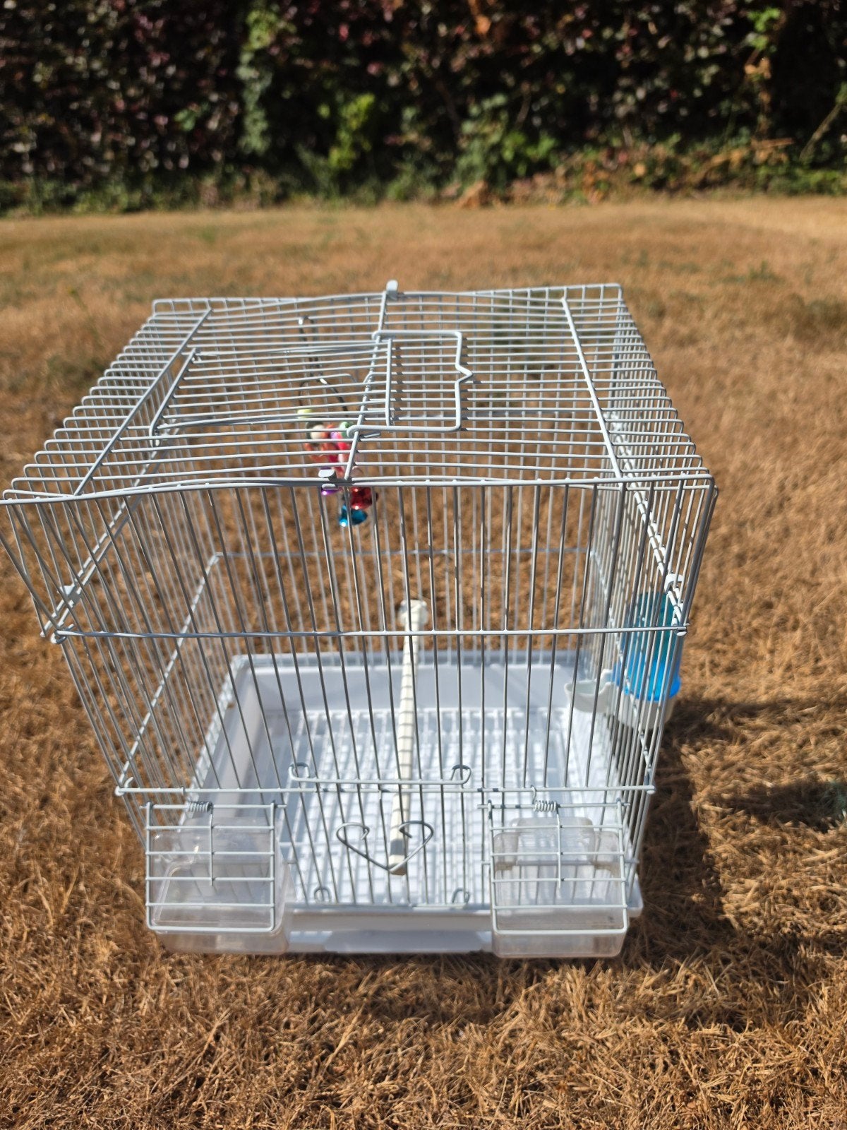 cage 5 € bon état  oupeye, Gebruikt