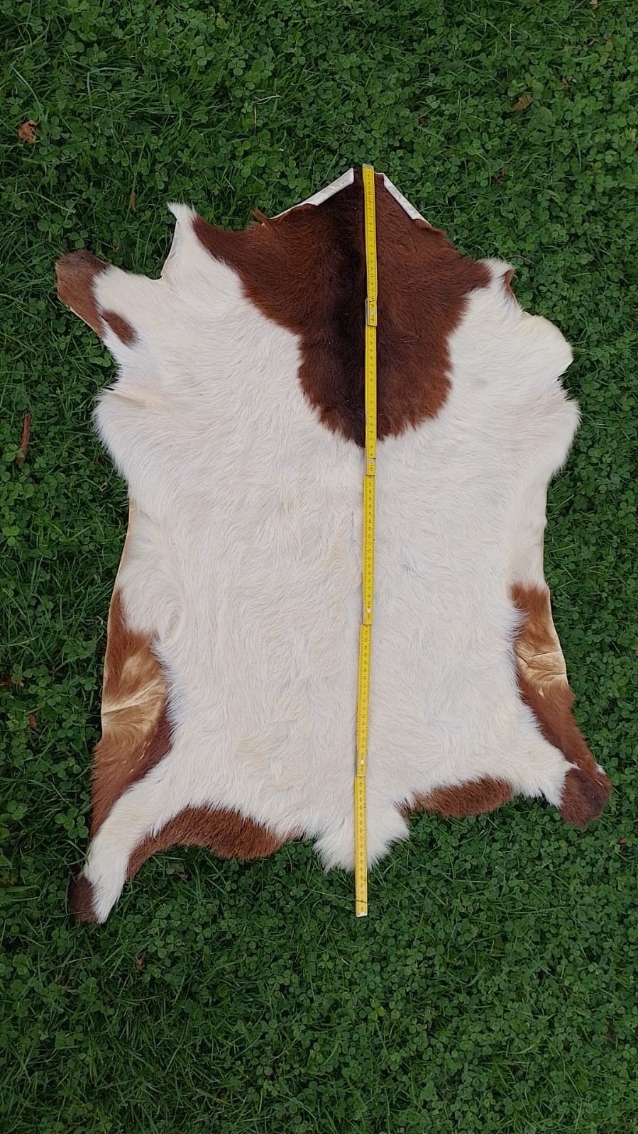 Tapis peau de chèvre, Antiek en Kunst, Ophalen