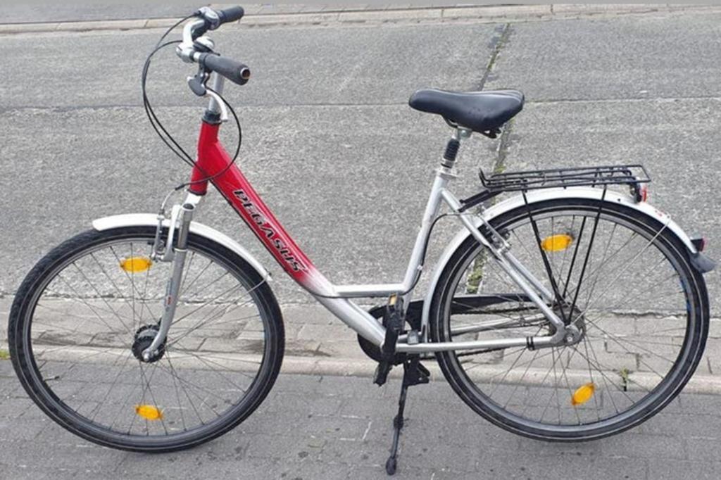 Pegasus Avanti 28 inch - damesfiets (Rood/Zilver), Fietsen en Brommers, Fietsen | Dames | Damesfietsen, Gebruikt, Velgrem, Versnellingen