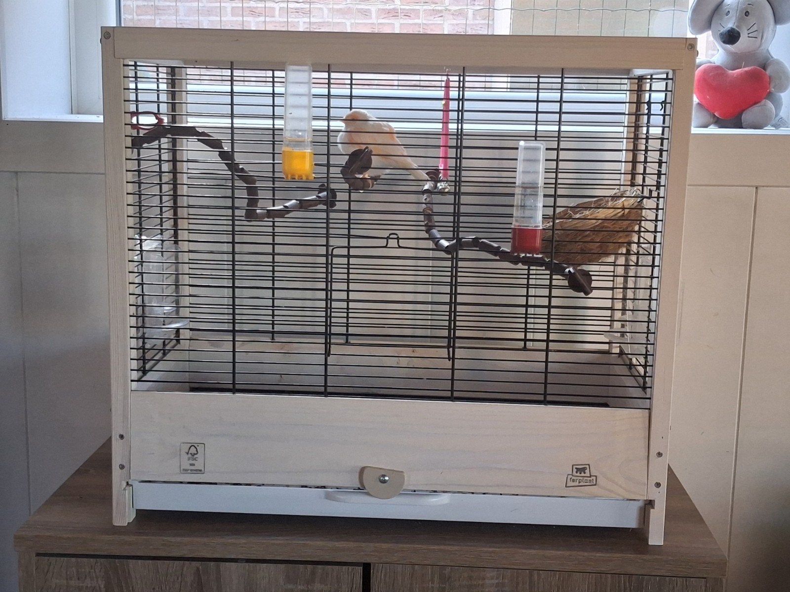 vogelkooi te koop met 1 vogel, Enlèvement, Comme neuf, Bois, Cage à oiseaux
