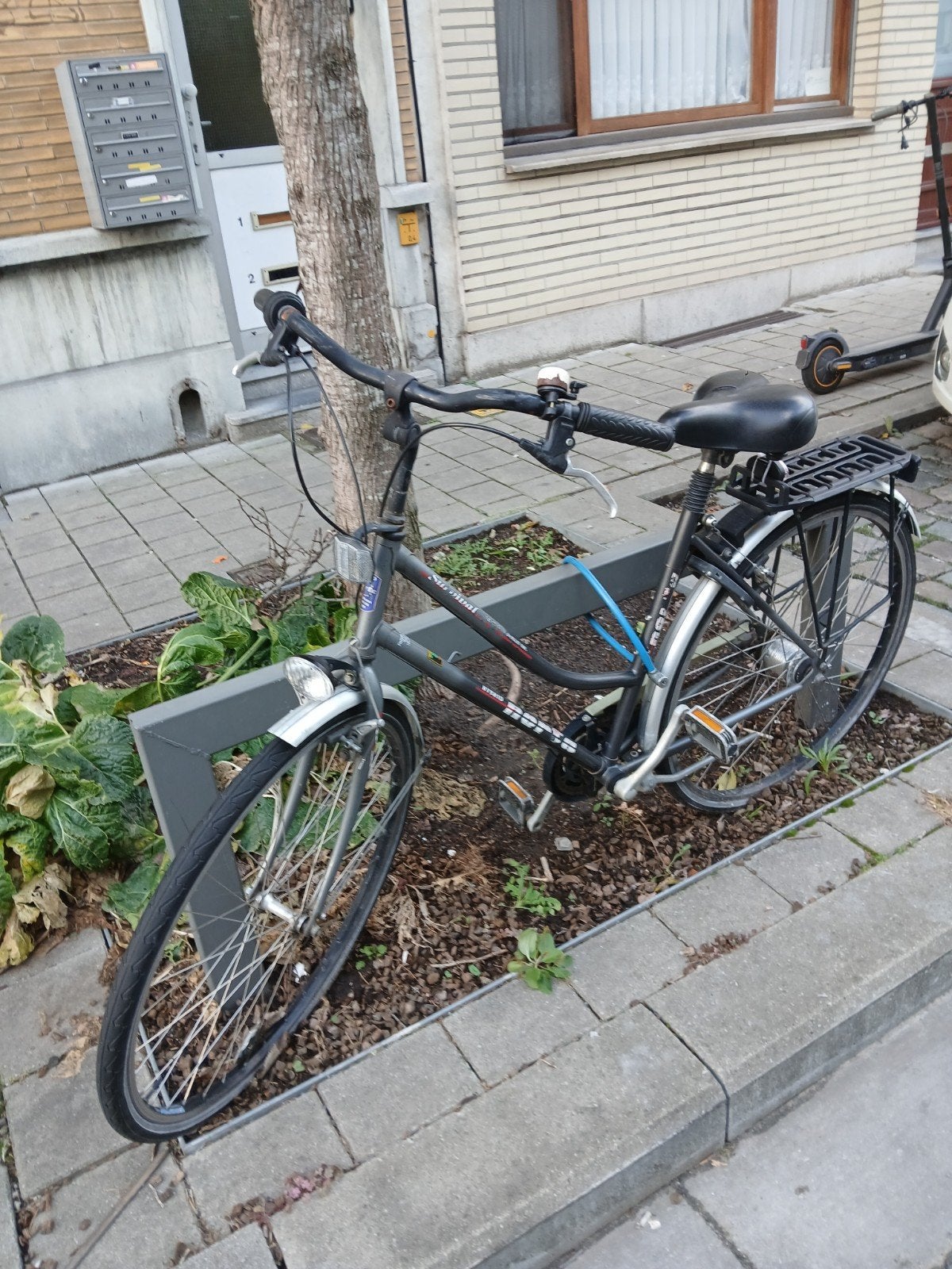 fites, Ophalen of Verzenden