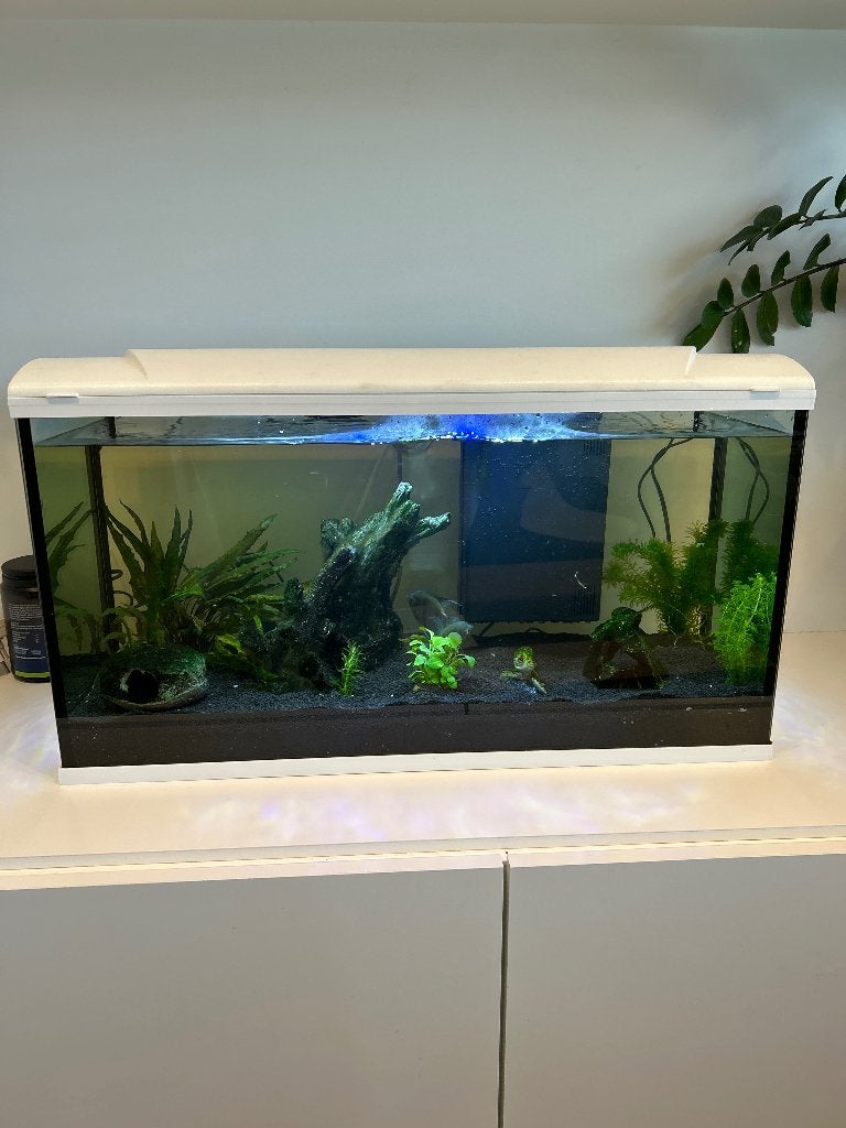 aquarium, Dieren en Toebehoren, Gebruikt, HS Aqua, Leeg aquarium, Ophalen