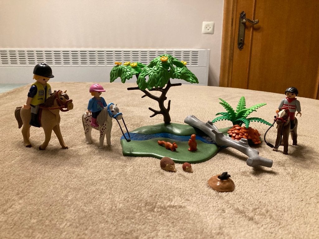 Playmobil Ponyrijles (compleet, doos en boekje) 4-10 j, Kinderen en Baby's, Speelgoed | Playmobil, Ophalen of Verzenden, Zo goed als nieuw