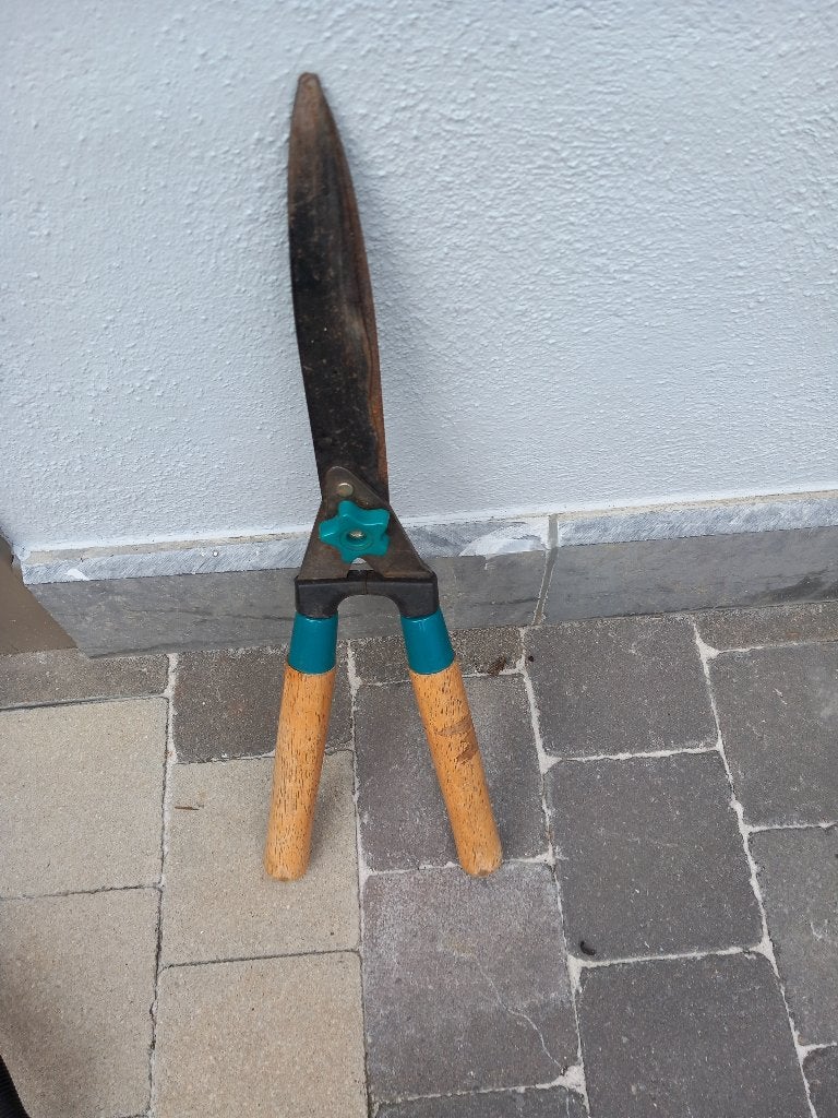 Snoeischaar, Tuin en Terras, Ophalen, Zo goed als nieuw, Minder dan 20 mm