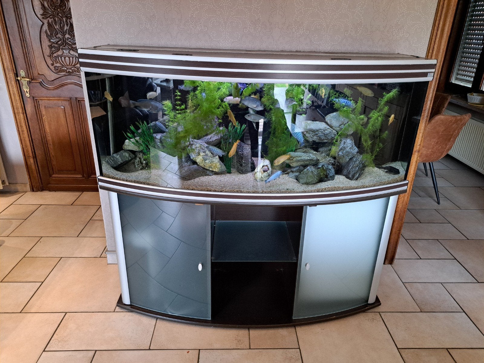aquarium aquatlantis, Ophalen, Verwarming, Aquatlantis