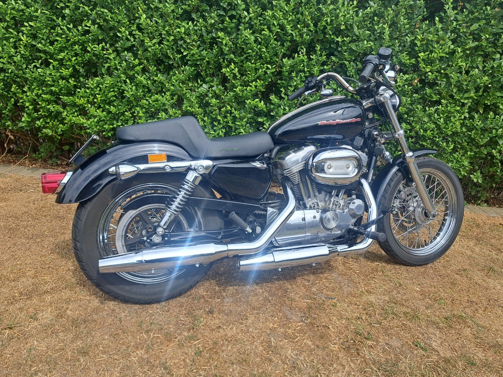 harley sportster 883 bouwjaar 2005., Motoren, 2 cilinders, Chopper, 883 cc, Particulier