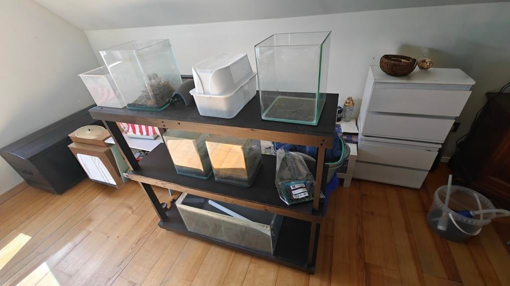 Aquarium lot plus vuurgarnalen en endlerguppies, Animaux & Accessoires, Poissons | Aquariums & Accessoires, Enlèvement