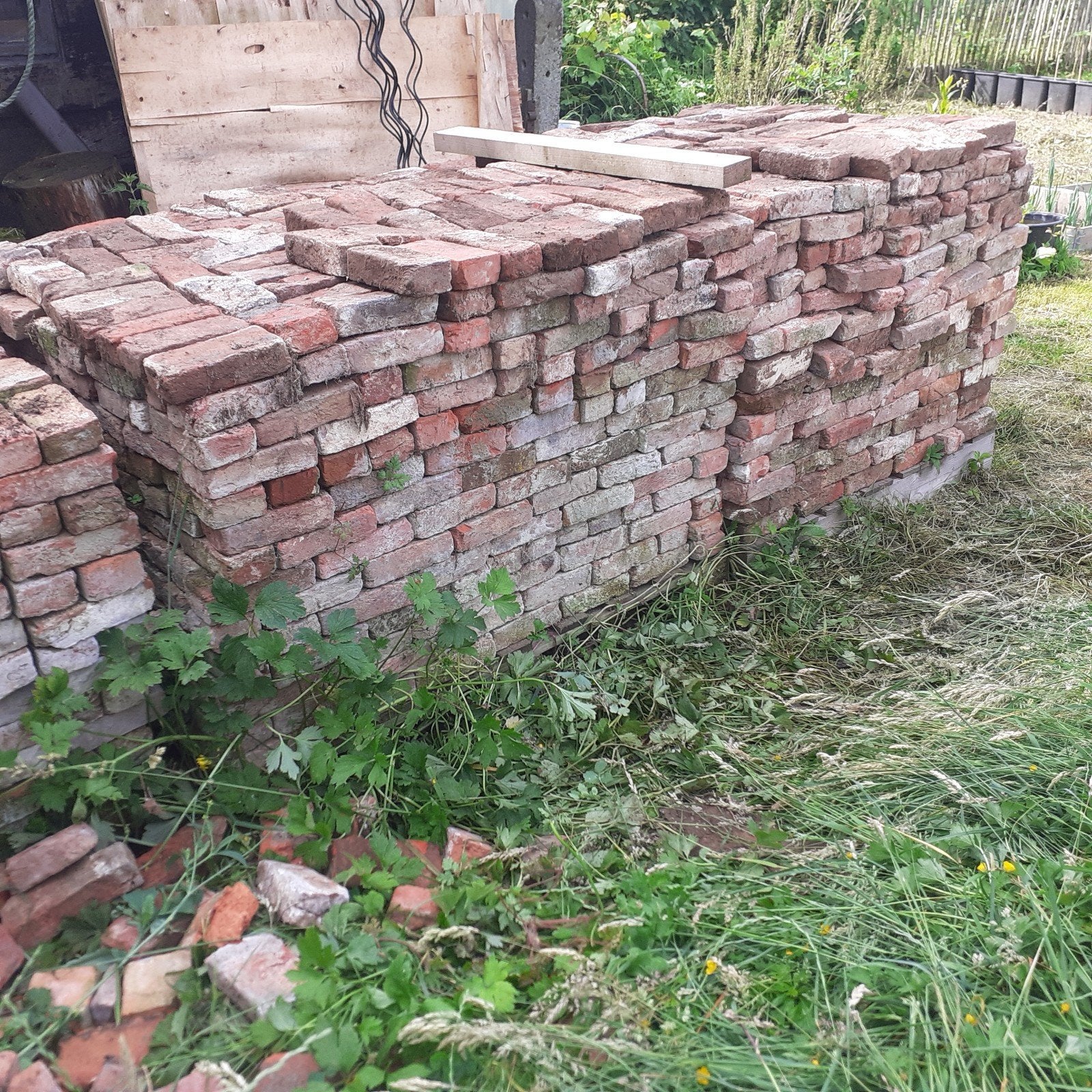 Oude boomse bakstenen, Bricolage & Construction, Briques, Enlèvement, Briques