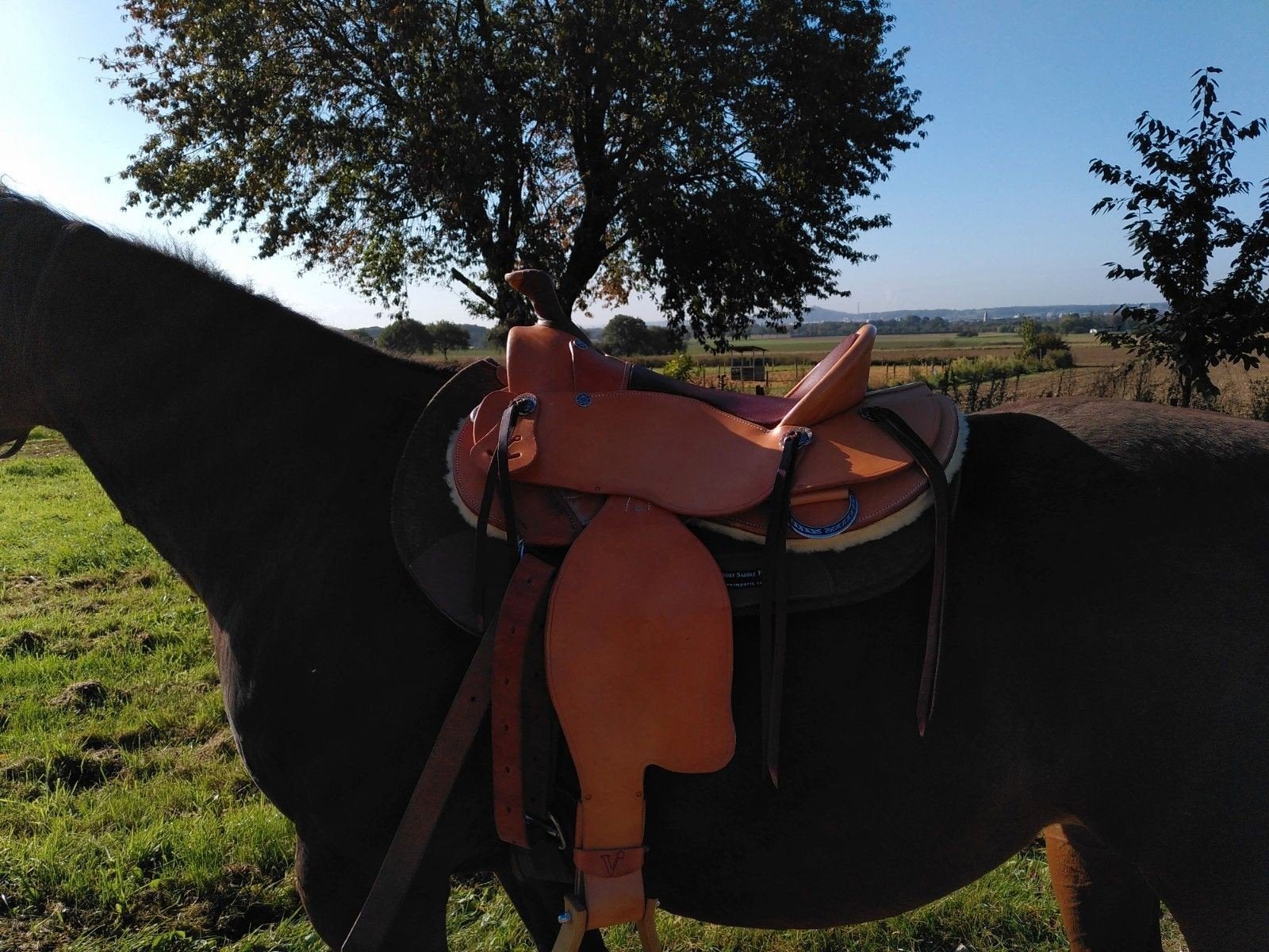 Selle Vaquero Western, Enlèvement, Comme neuf