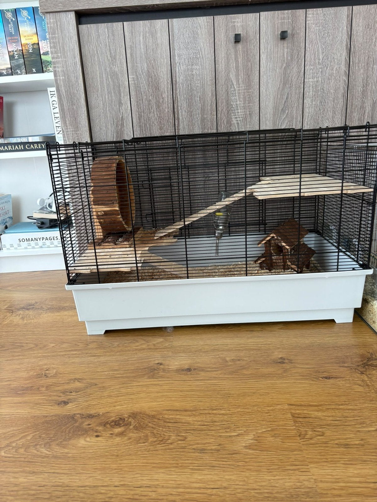 2 Russische dwerghamsters + kooien, Ophalen, Zo goed als nieuw, Kooi, Cavia