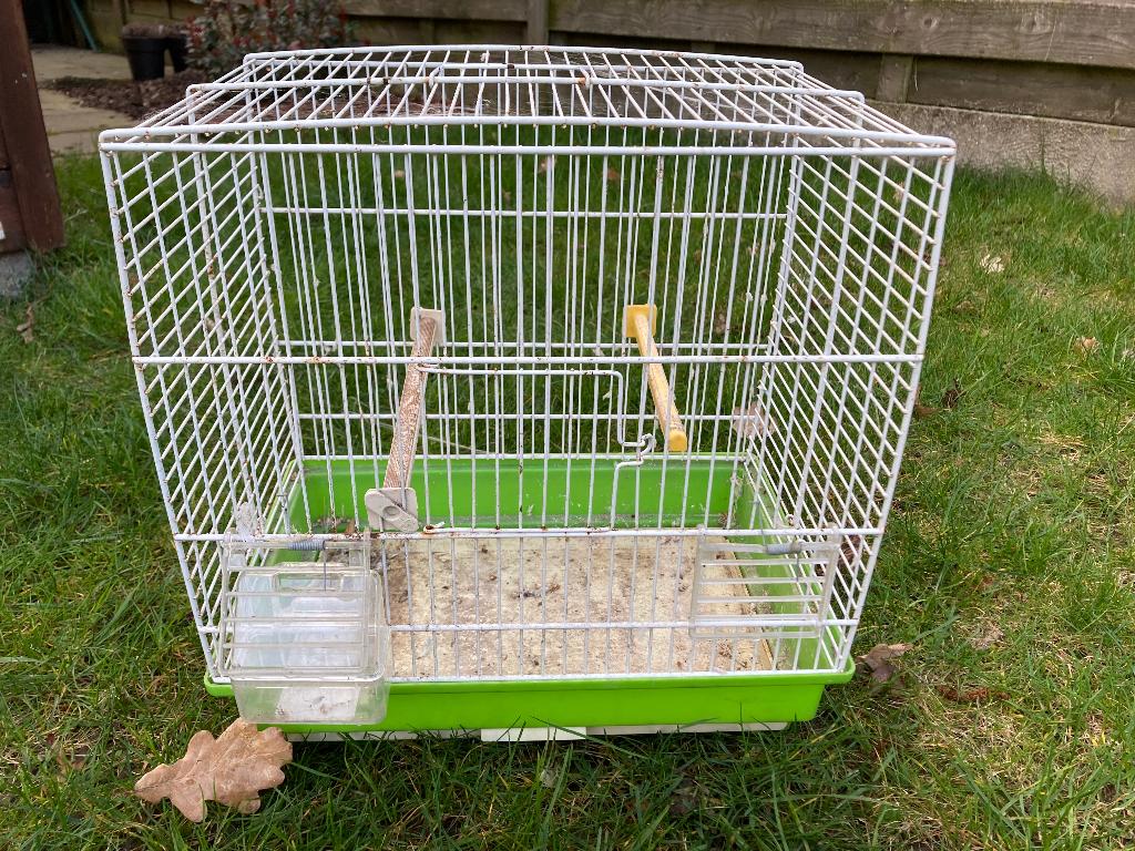 Vogelkooi, Enlèvement, Utilisé, Métal, Cage à oiseaux