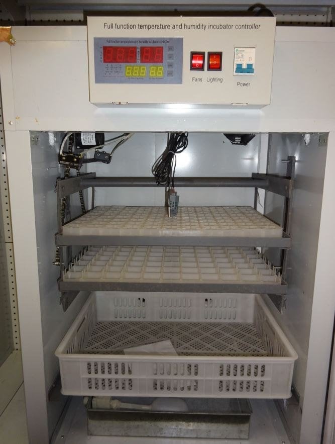 BROEDMACHINE 264 EIEREN NIEUW, Dieren en Toebehoren, Ophalen, Broedmachine