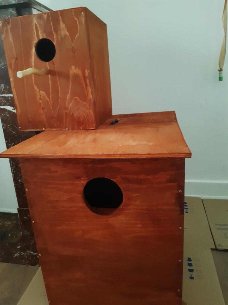 Nichoir pour grand perroquets, Enlèvement, Bois