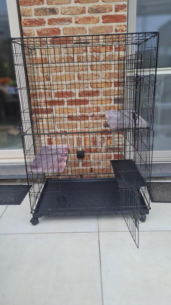 Kitten of honden bench, Dieren en Toebehoren, Ophalen