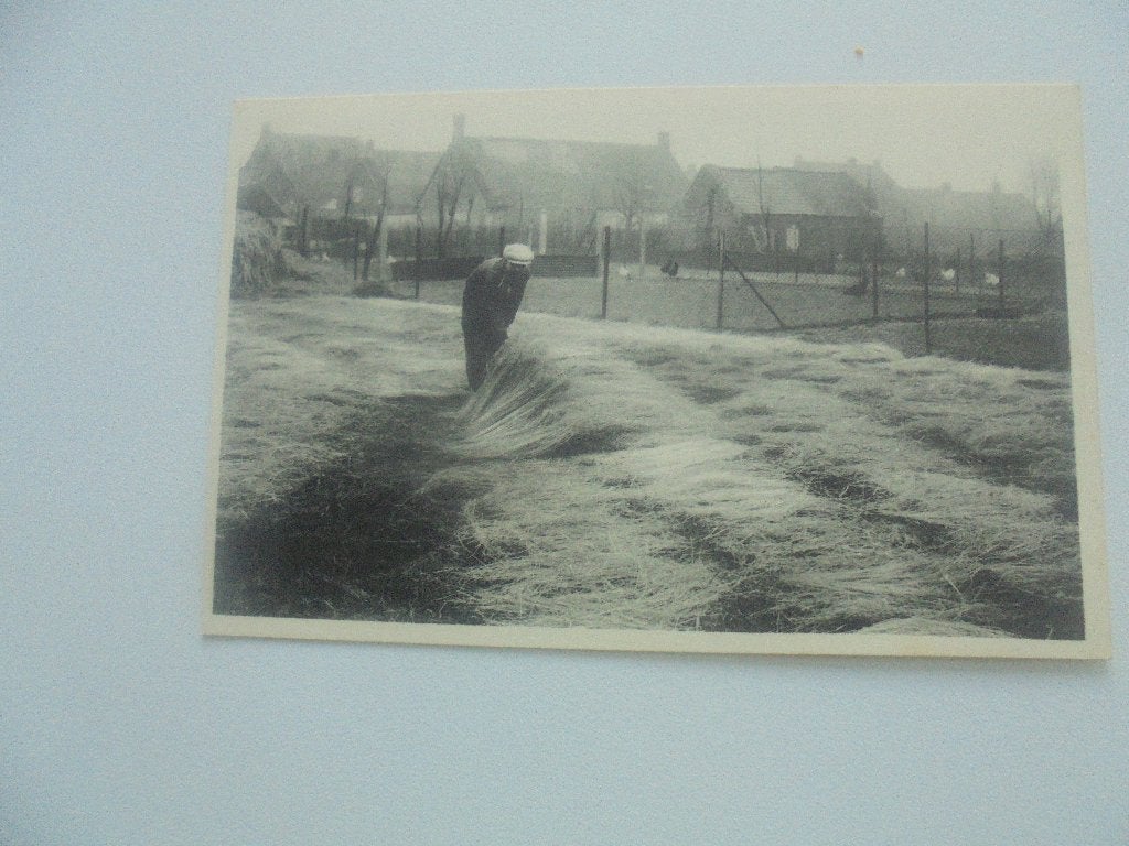 vlasteelt- dauwrote, Verzamelen, Postkaarten | België, Verzenden, 1920 tot 1940, Ongelopen, West-Vlaanderen