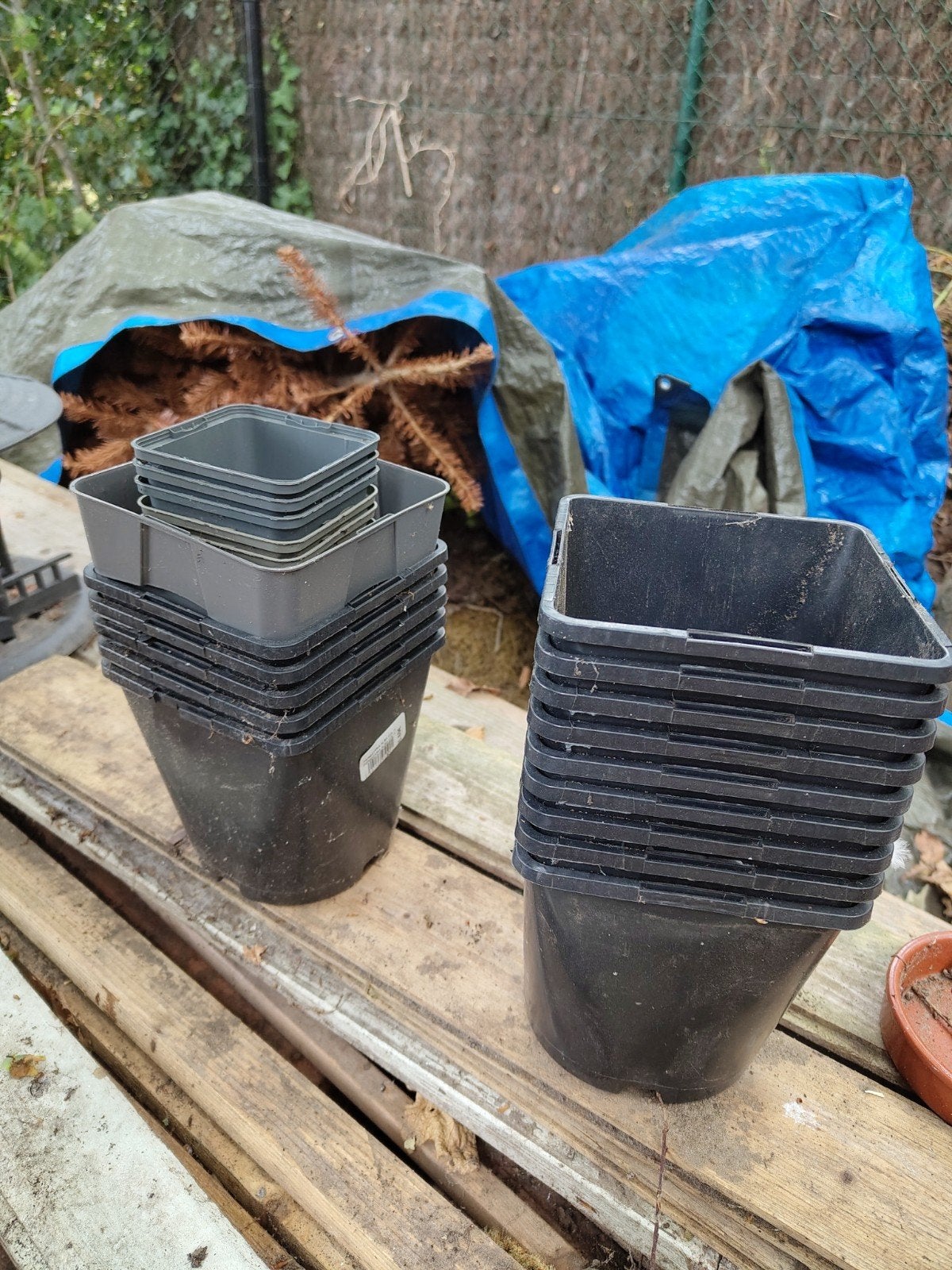 Gratis binnenpotten, Tuin en Terras, Ophalen