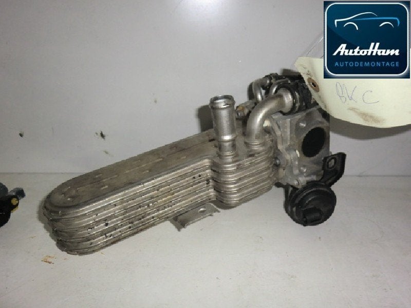 OLIEKOELER Seat Altea (5P1) (01-2004/07-2015) (|038131512H|), Gebruikt, Seat