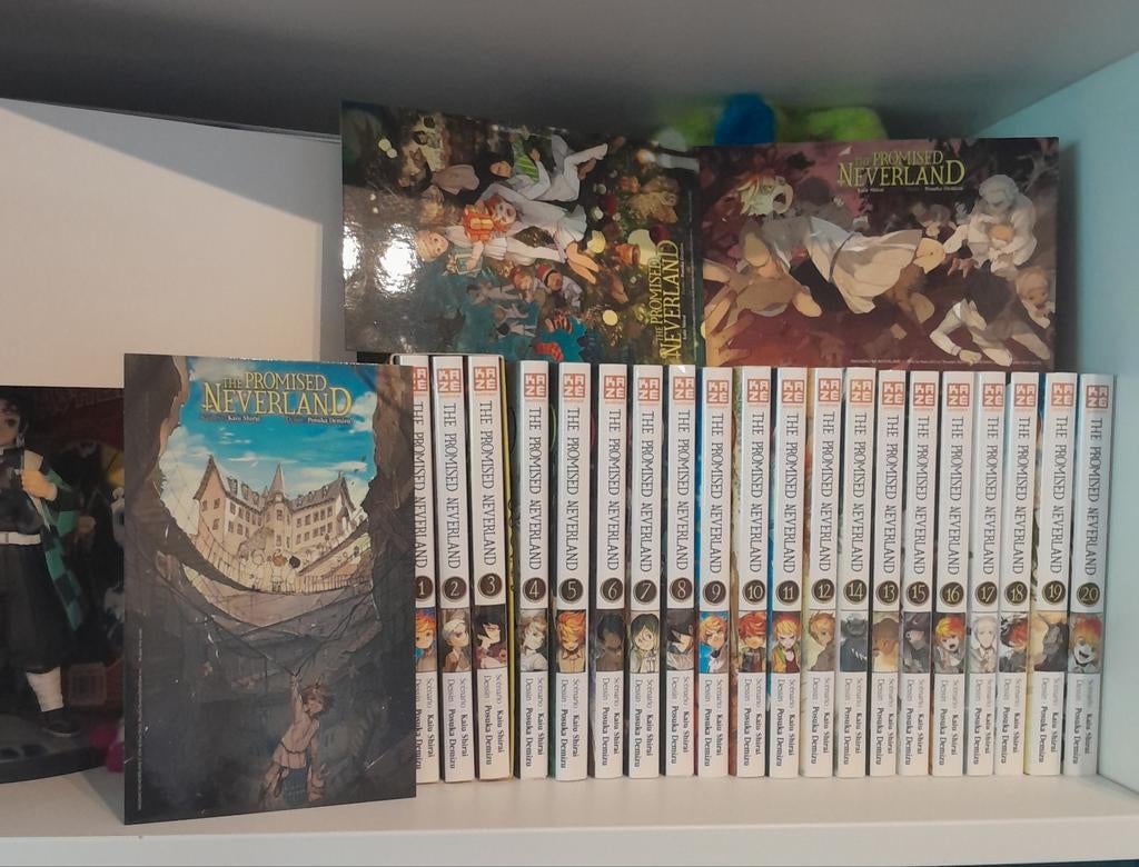 Manga The Promised neverland collection complète, Enlèvement