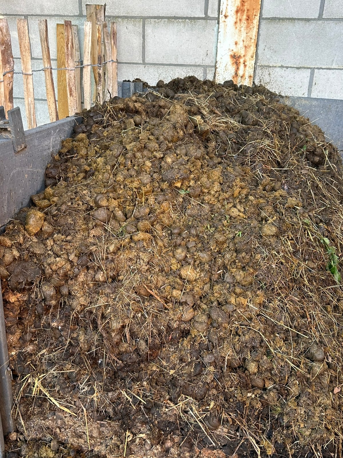 Gratis paardenmest, Tuin en Terras, Ophalen