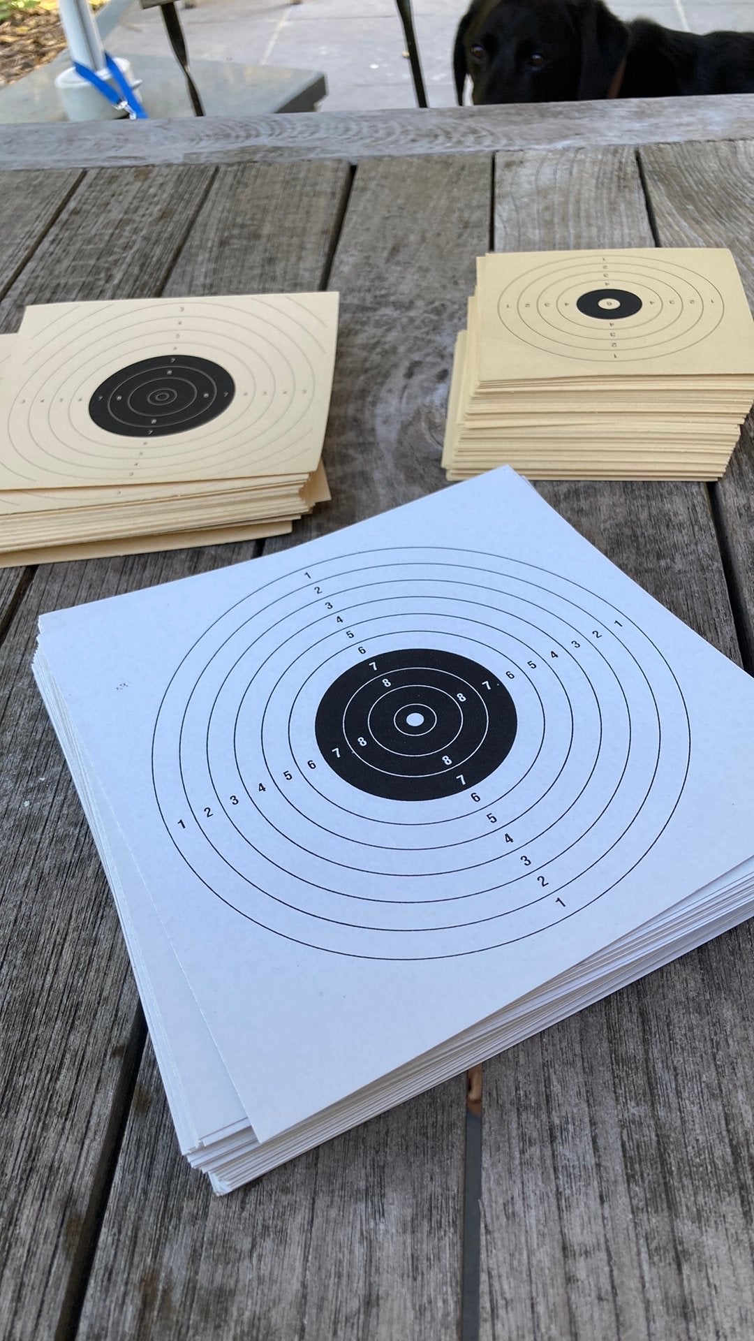 Groot Lot Schietkaarten / Targets voor Luchtbuks of Airsoft, Sport en Fitness, Schietsport-accessoires, Ophalen of Verzenden, Zo goed als nieuw