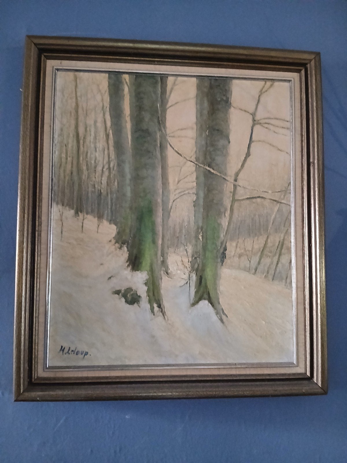 H  leloup., Enlèvement