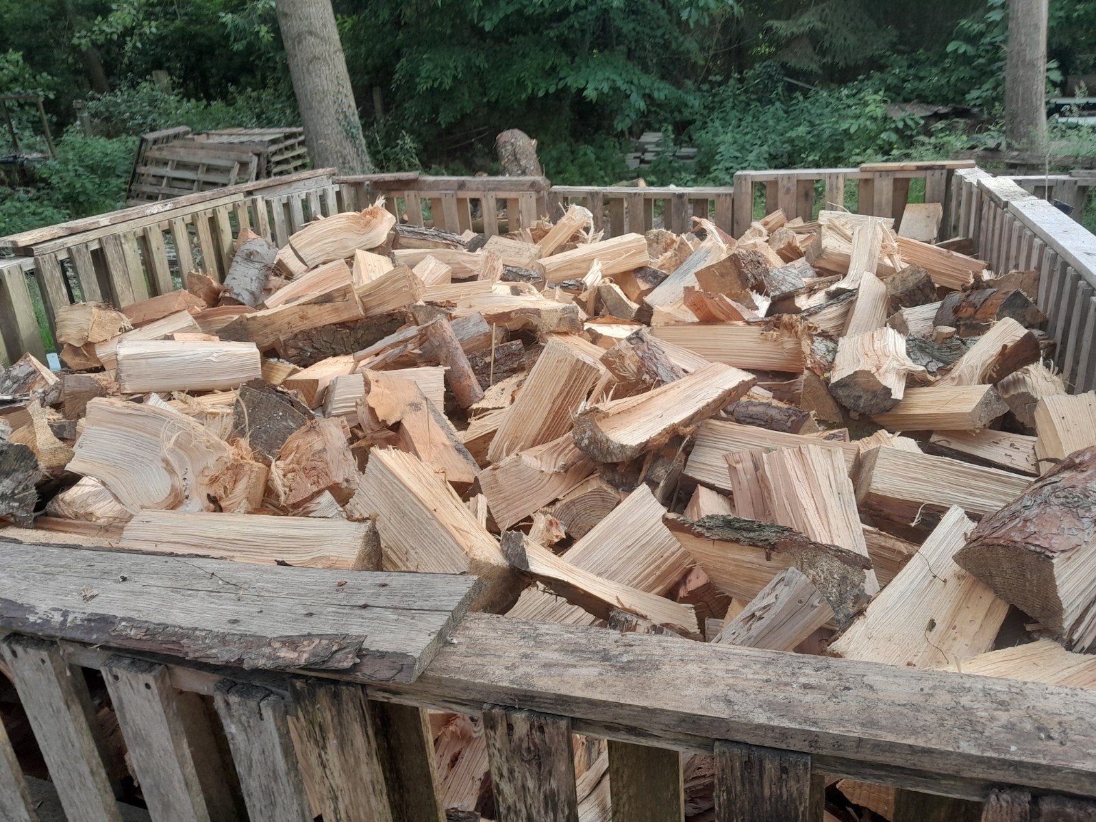Naaldhout, Tuin en Terras, Brandhout, Ophalen