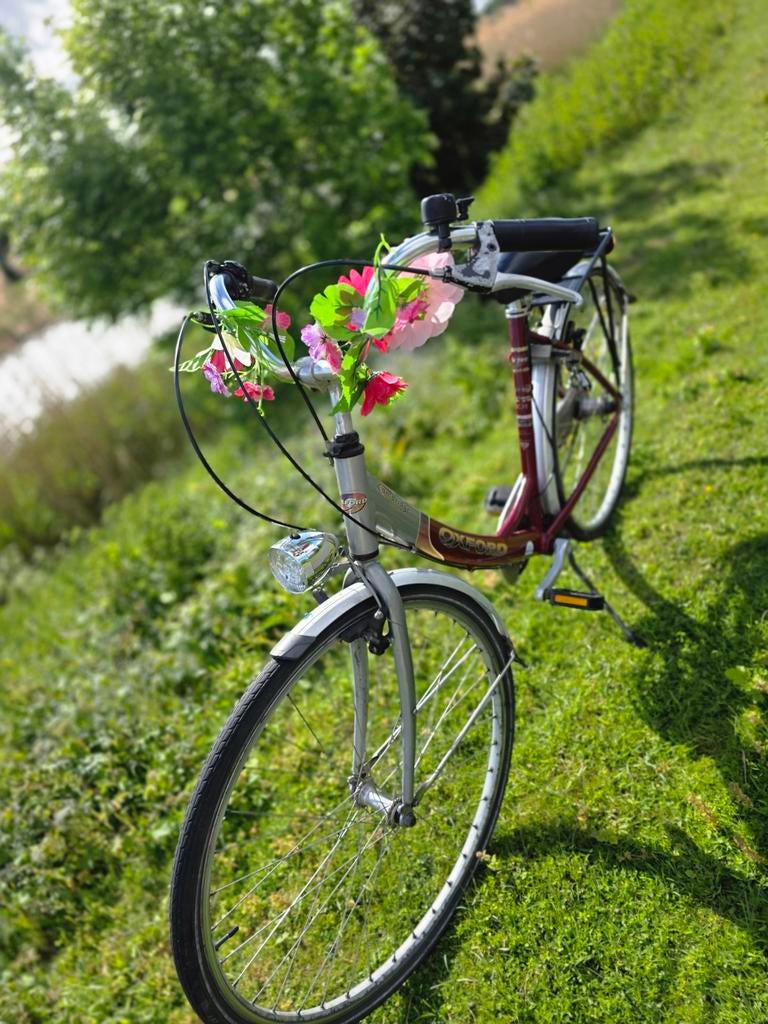 Oxford damesfiets, Fietsen en Brommers, Fietsen | Dames | Omafietsen, Ophalen of Verzenden