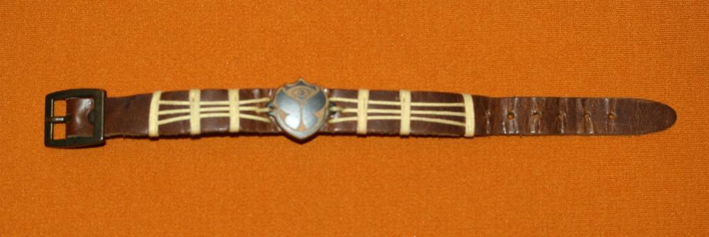 Tomorrowland 2013  bracelet, Ophalen of Verzenden, Zo goed als nieuw