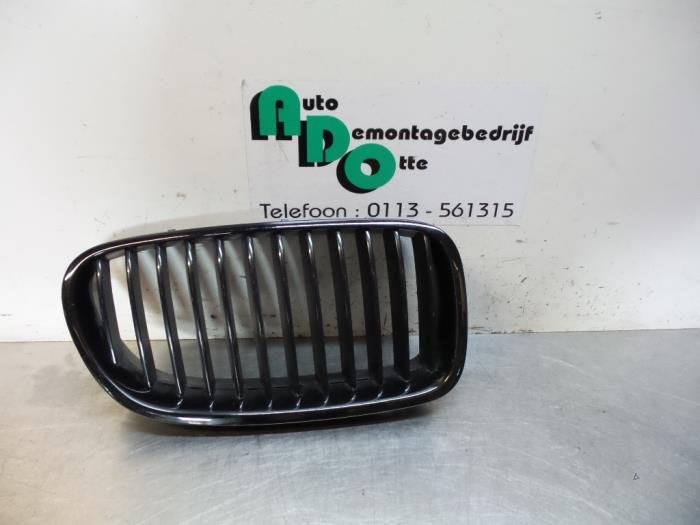 Bumper Rooster van een BMW 5-Serie (5-Serie 02-), Gebruikt, -, -, Ophalen of Verzenden