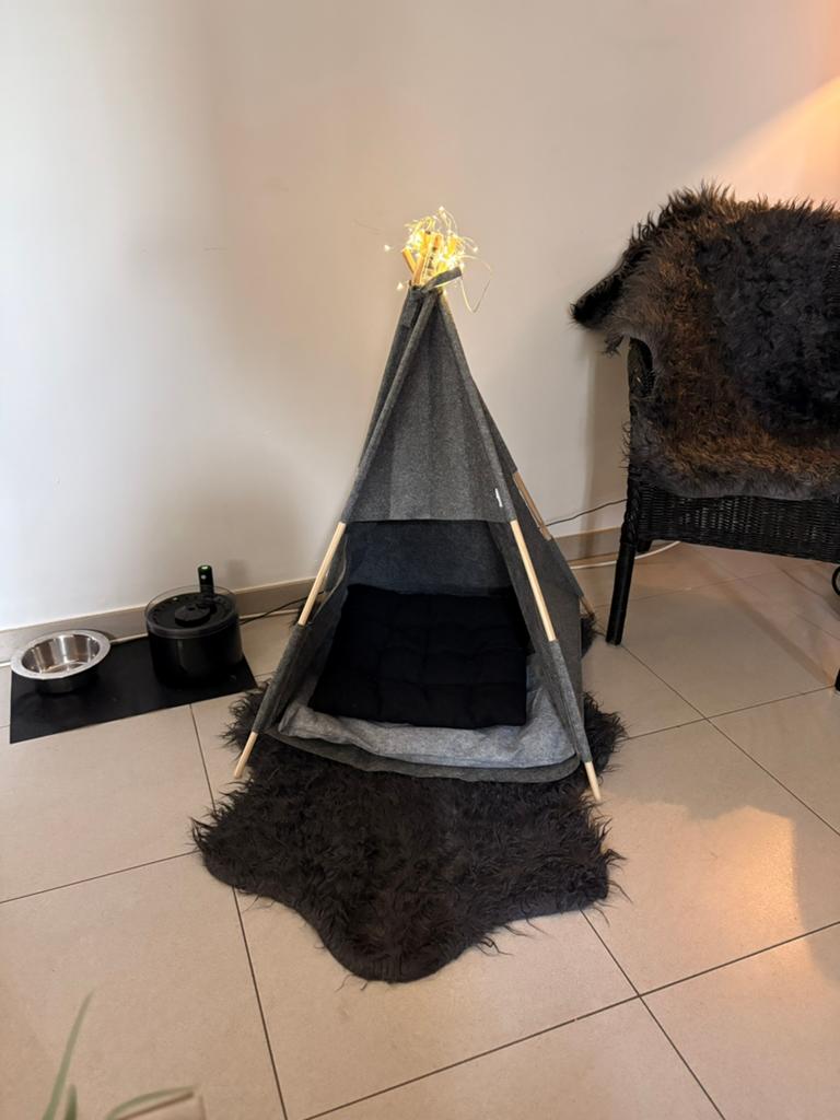 Tipi pour chien ou chat, Enlèvement, Neuf, Poussière