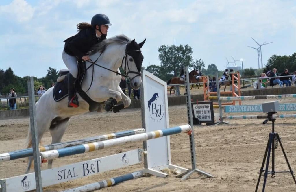 D pony