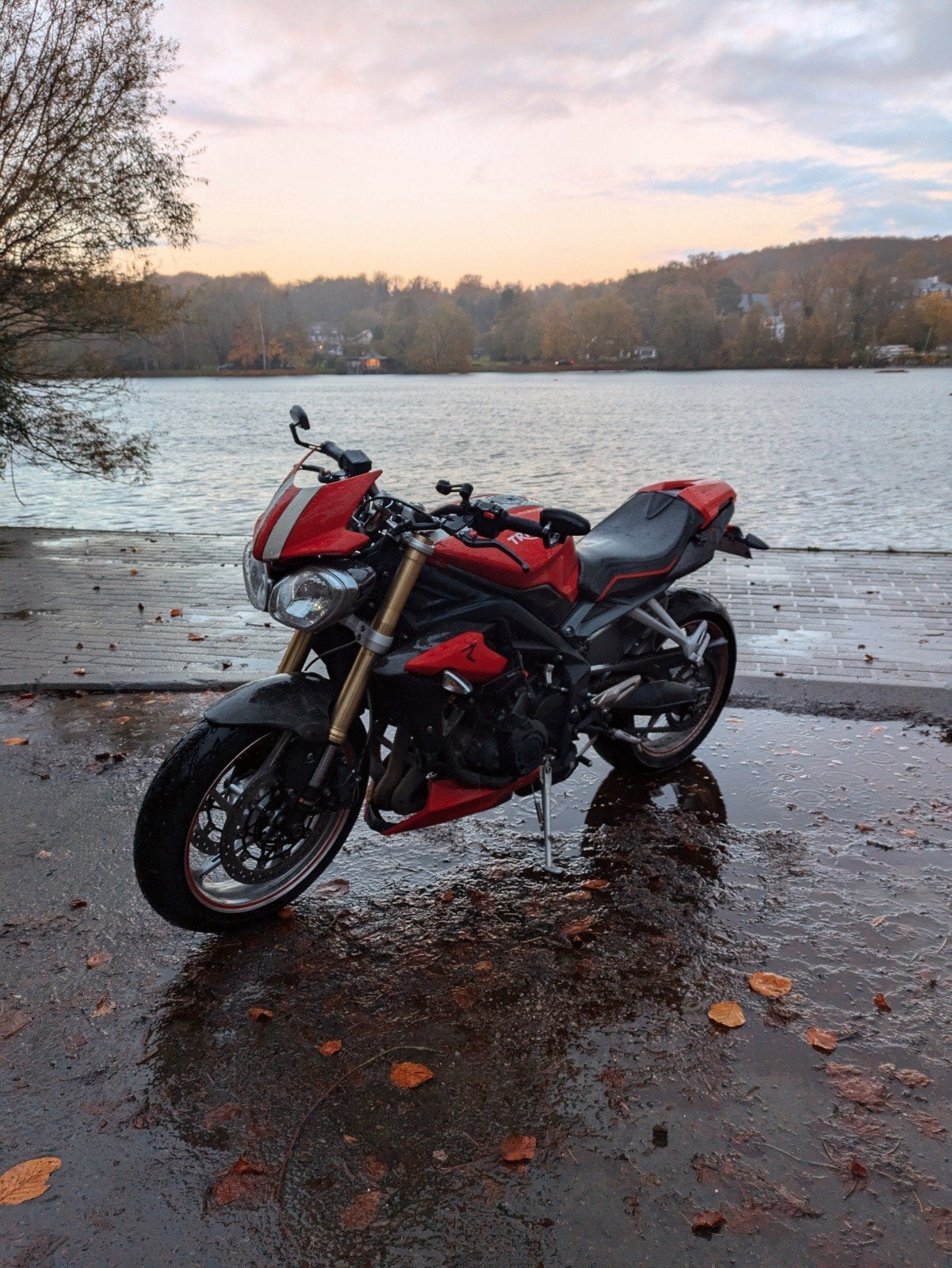 Triumph Street Triple, Particulier