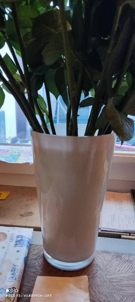 vaas, Huis en Inrichting, Woonaccessoires | Vazen, Ophalen