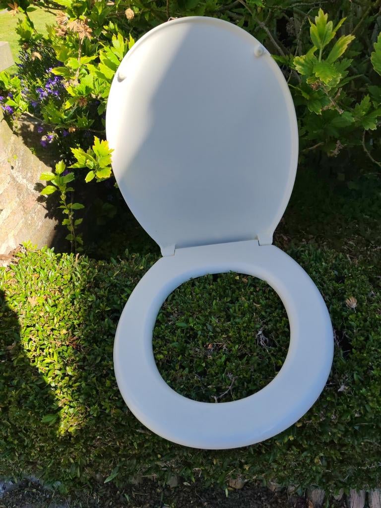 Abattant toilette (lunette de wc), Enlèvement