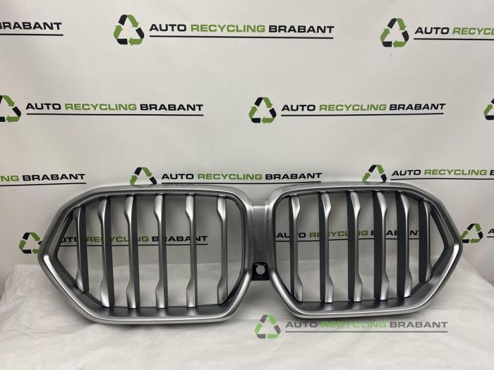 Grille van een BMW X6, Gebruikt, -, -, Ophalen of Verzenden