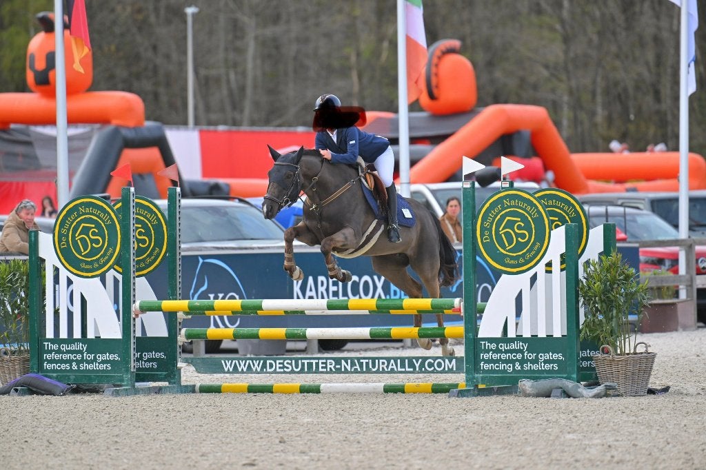 Mooie sportieve springpony te koop in de veiling via ESHA, Dieren en Toebehoren, Merrie, Met stamboom, M, Springpony