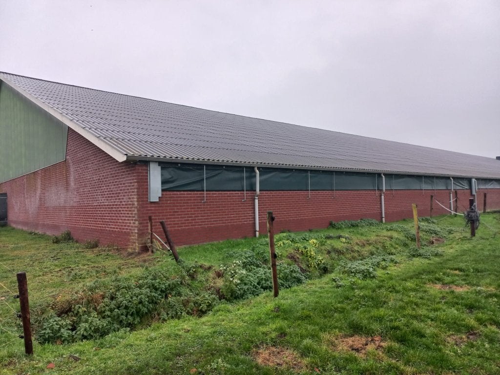 Complete stalinrichting, Meerdere dieren, Varken