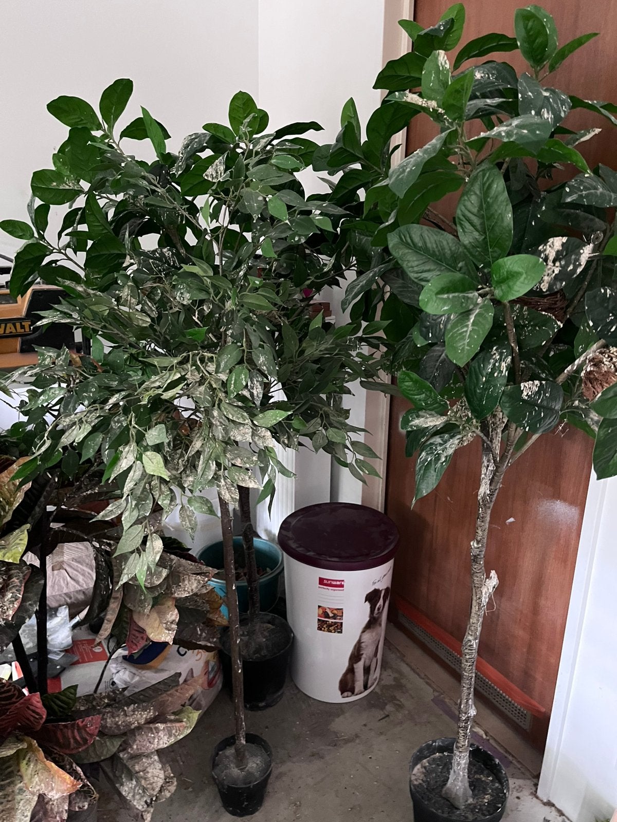 5 kunstplanten voliere, Ophalen, Gebruikt, Kooi-accessoires